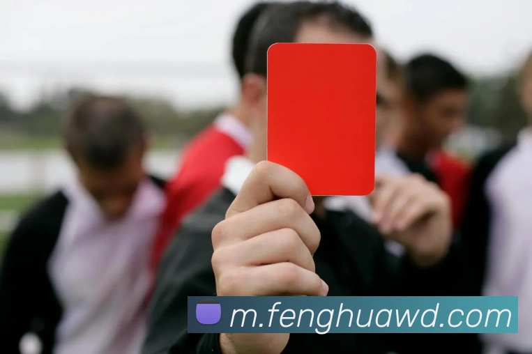 问鼎官网入口发展历程